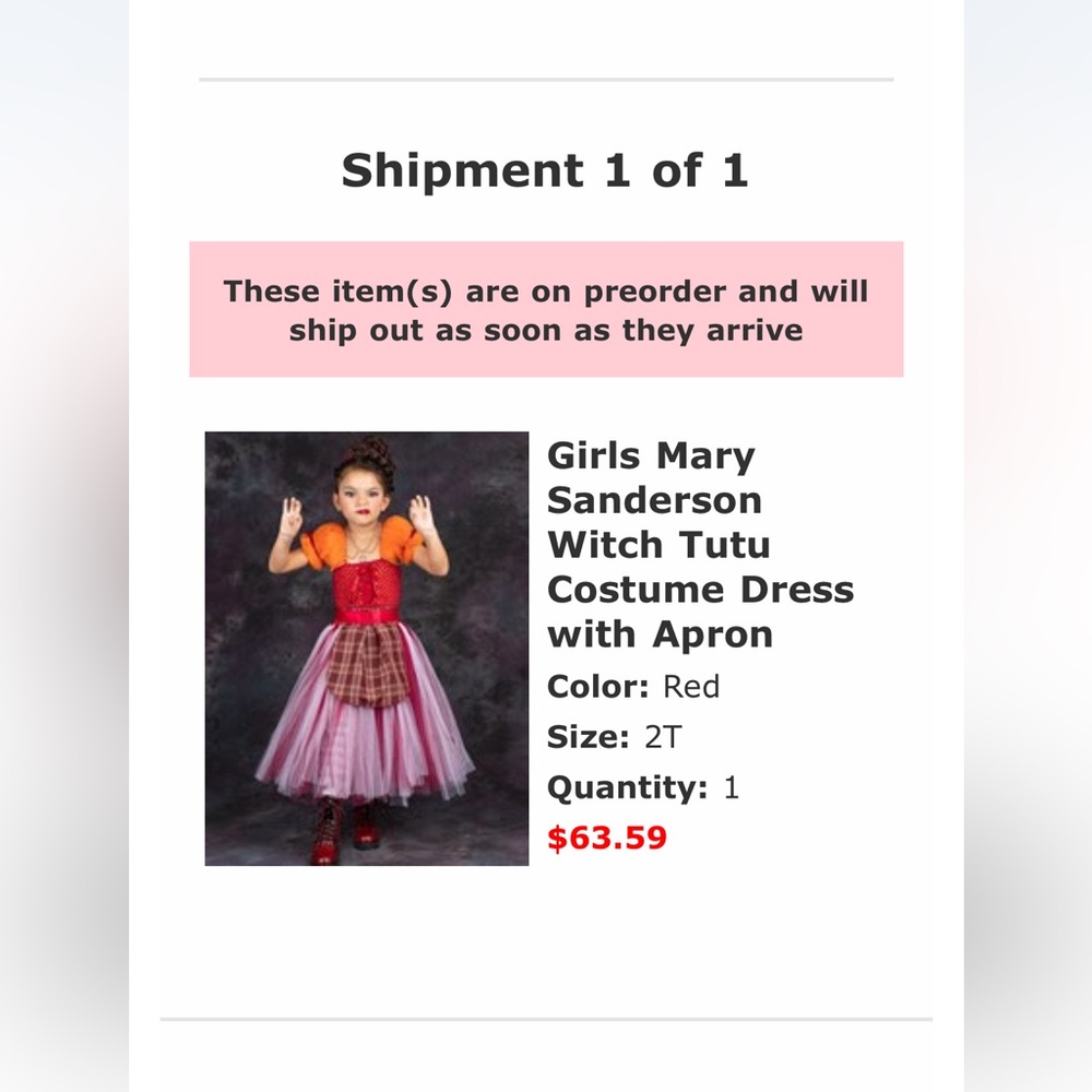 Mia Belle Mary Sanderson 2T Costume - Picture 4 of 4